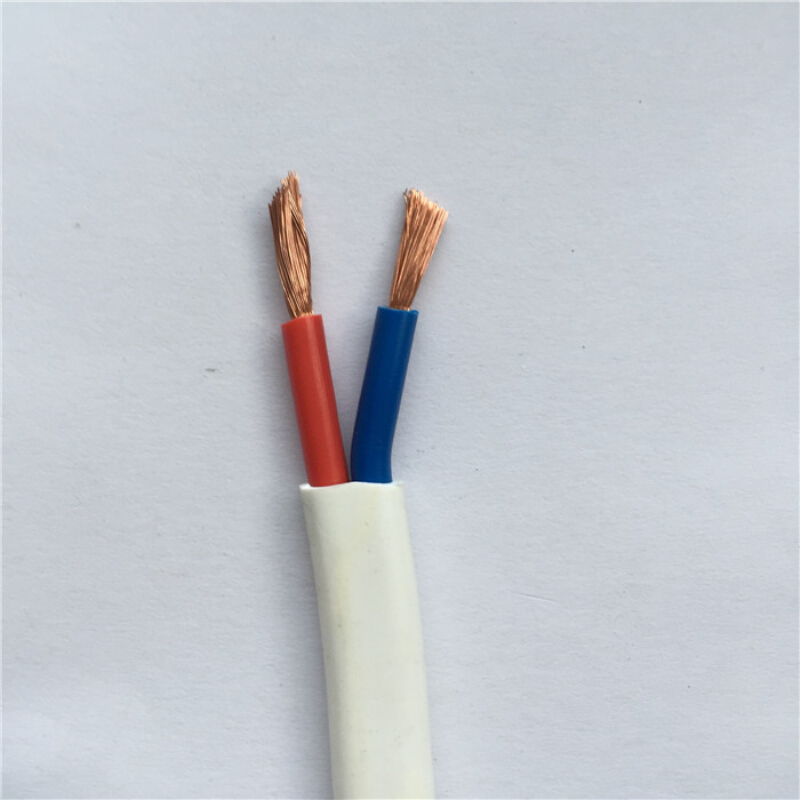 津猫小猫电线护套线zrrvv2x25平方一拍为10米家用国标多股铜芯软