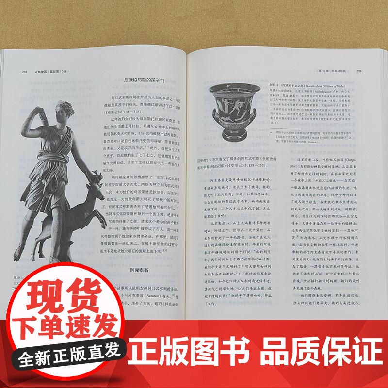 古典神话国际第10版 美马克PO莫福德MarkPOMorford美罗伯特J勒纳尔登RobertJLenardon美迈克尔高清大图