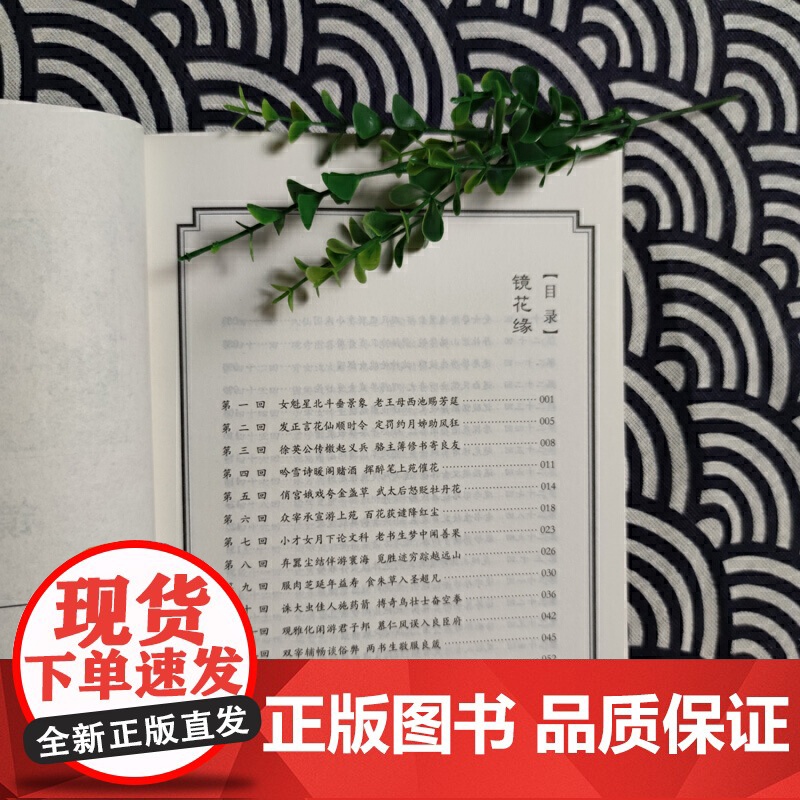 镜花缘(上下册)黑皮阅读 七年级上(中国古典小说艺术的集大成之作)高清大图