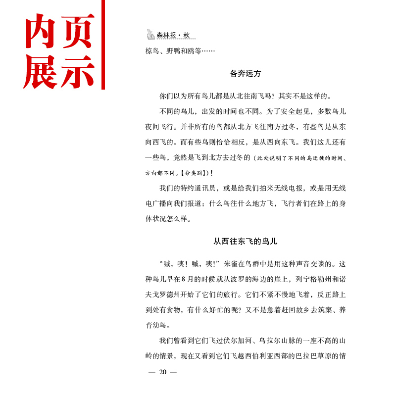 [正版]精装森林报春夏秋冬系列四册之一秋 小学生三四五六年级课外读初中阅读书籍 儿童读物9-15岁图书