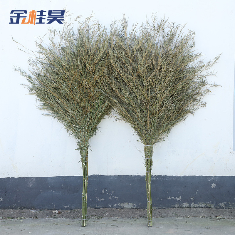 金桂昊 扫把 1.8米 把高清大图