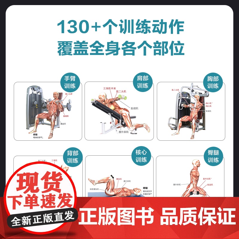 力量训练彩色图谱 口袋版 健身书籍 健身训练计划 增肌书籍 力量与肌肉训练图谱 肌肉力量训练图谱高清大图
