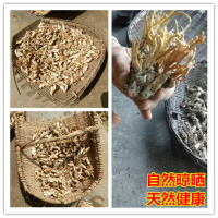 2018年新货大别山区 野生金蝉花 竹林蝉花土蝉花 金蝉花100克