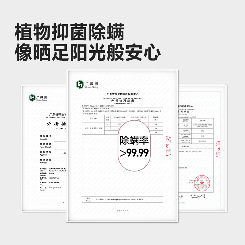 DeJie德洁氨基酸多效洗衣液 (春日花语)高清大图