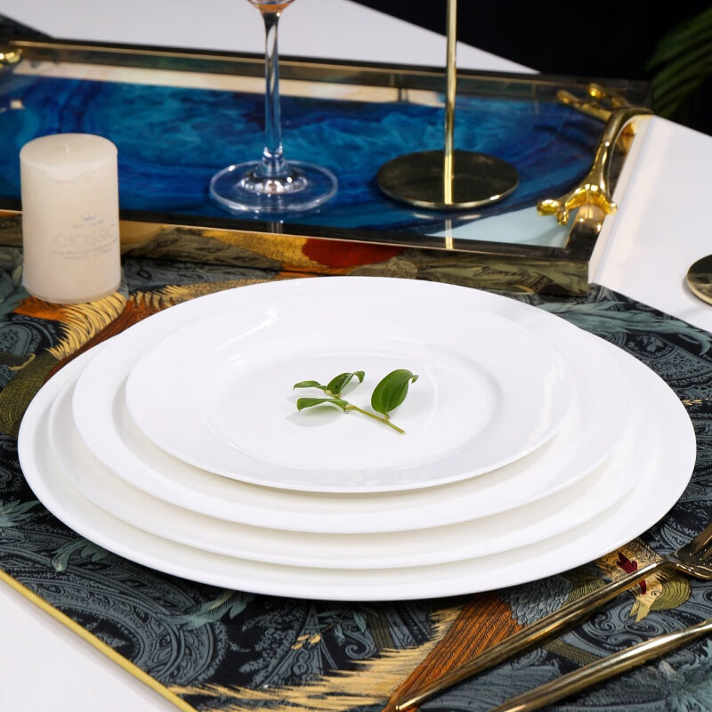 铁斯特 骨瓷餐具 平盘 浅盘 TST-G009(8寸)高清大图