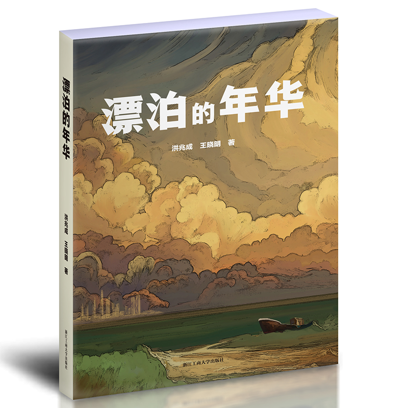 正版新书]漂泊的年华洪兆成9787517830016高清大图