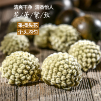 聚修堂(JUXIUTANG) 绿萝花茶 150克