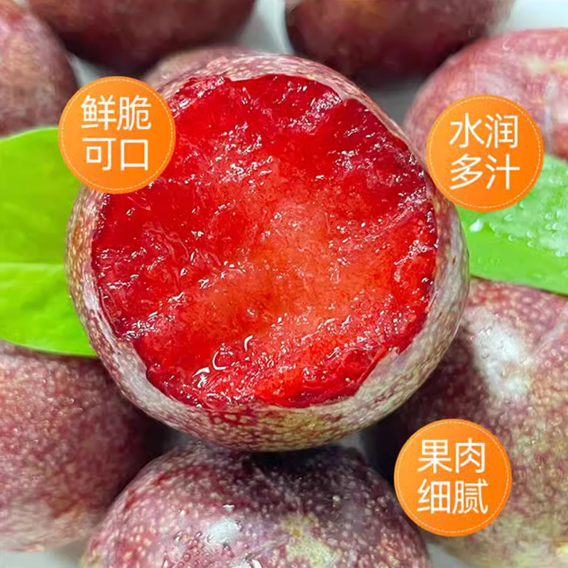 顺丰快递[熊猫鸟]智利进口凤凰李 3斤 珠宝李子当季新鲜红布林整箱血丝李水果樱桃李孕妇