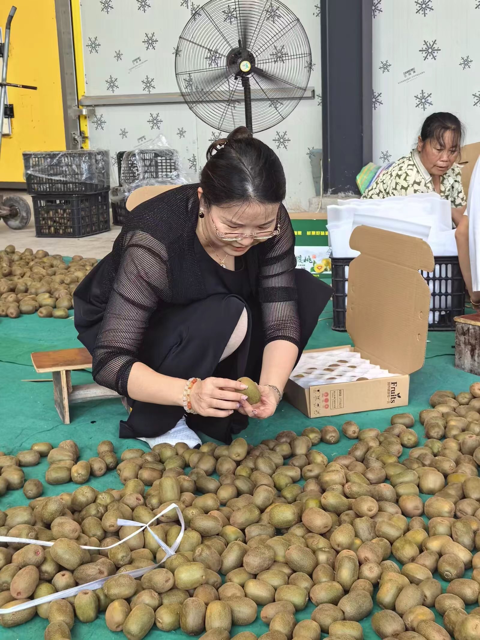 湘西红心富硒猕猴桃一件带箱(40个)高清大图