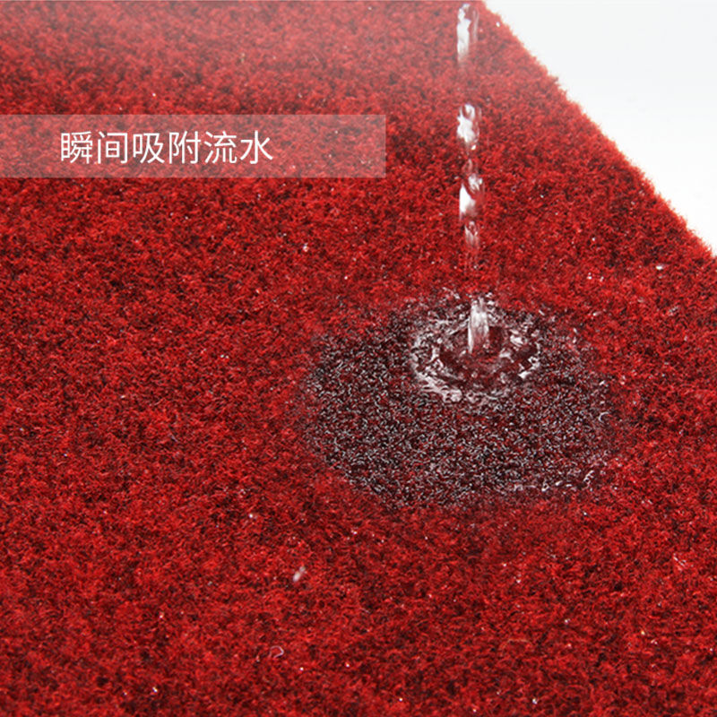 入户地垫垫子进厅家用可裁剪卫生间防滑垫吸水脚垫厨房地毯子进门高清大图