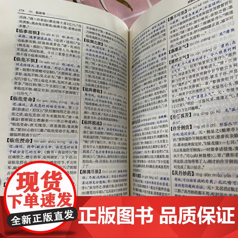新华成语词典 第2版 词典汉语工具书 第二版新华成语词典中小学学生常备工具书双色印刷辅导工具书辞典 商务印书馆高清大图