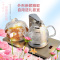 Seko/新功 G11 全自动上水玻璃电茶炉家用电热水壶茶台嵌入式烧水壶恒温煮水壶