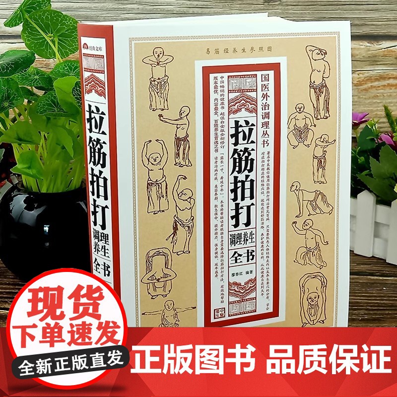 拍打强身术 经络养生锤疗操作案例 曾培杰拍打强身术中医经络拍打强身健体 中医养生经络穴位拍打妙招脏腑调理 赠拍打教学视频高清大图