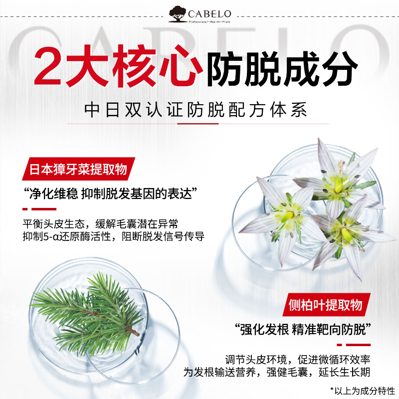 卡蓓诺 防脱 洗护套装(男士专用)350mL+350mL(黑色) BDZSSC高清大图