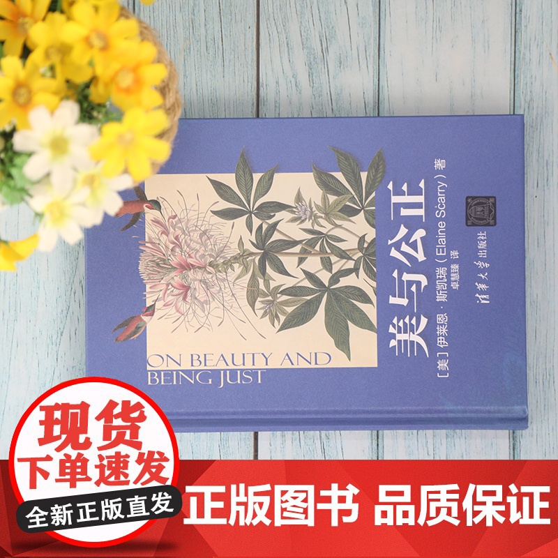 [正版]美与公正 伊莱恩·斯凯瑞 清华大学出版社 美学艺术哲学思想美学理论高清大图
