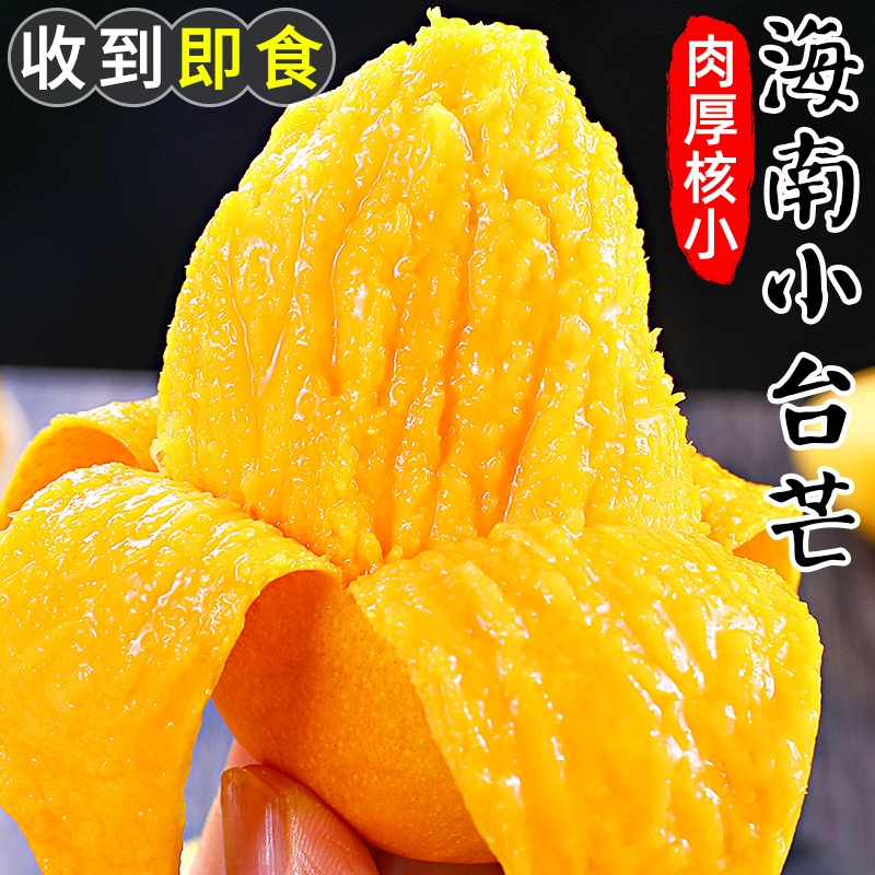 (需催熟)五个农民海南台农9斤大果礼盒装(单果100-150g)芒果新鲜小台芒现摘应当季水果热带芒果整箱