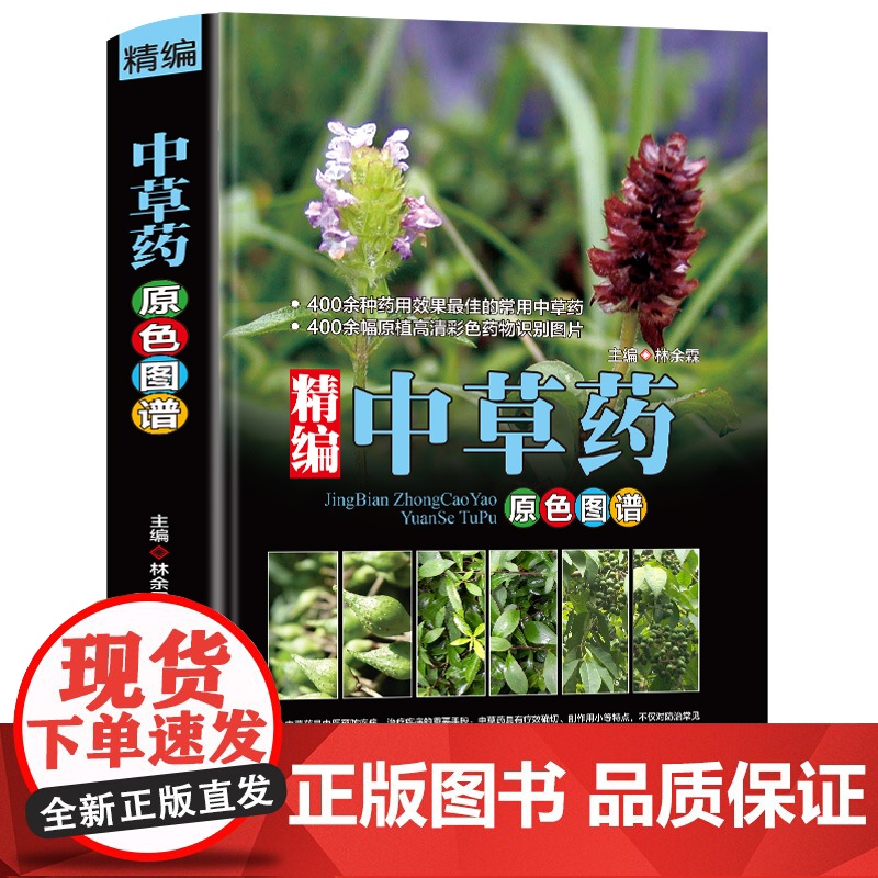 [4册]精编中草药原色图谱+图解中草药大全+图解本草纲目+图解偏方秘方大全 书籍高清大图