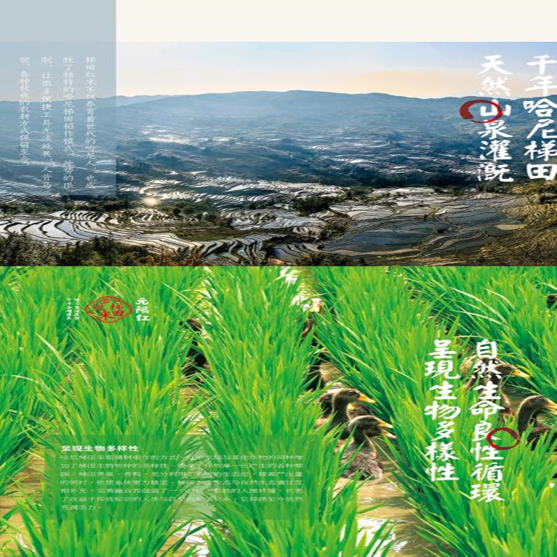 元阳红亚膜精制红米5KG