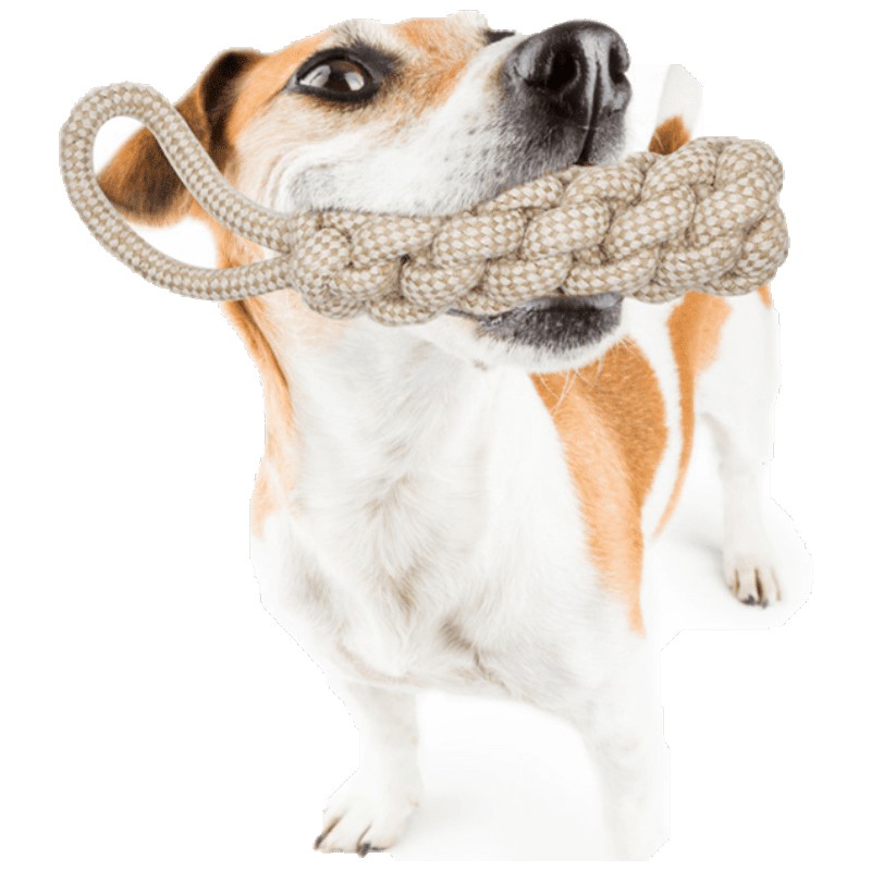 宠物狗狗玩具咬绳耐咬磨牙绳结斗牛柯基巴哥金毛磨牙棒训练用品 参数