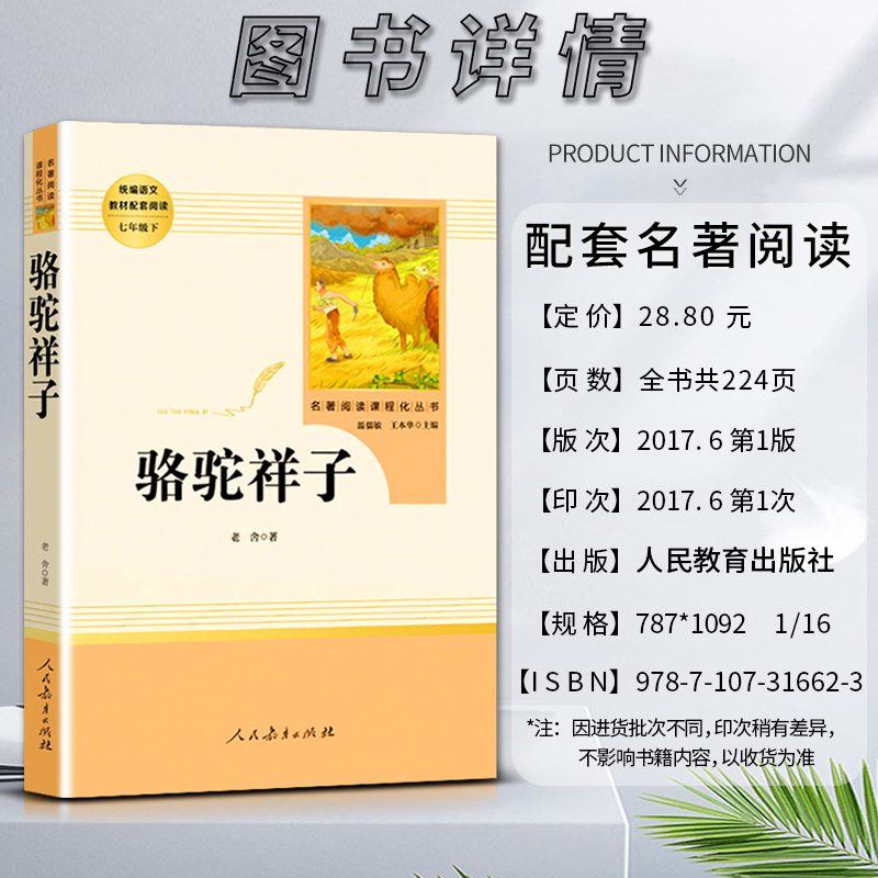 骆驼祥子+海底两万里 [正版]名著阅读课程化丛书初一1七7年级下册共2册海底两万里骆驼祥子人民教育出版社人教统编版语文同