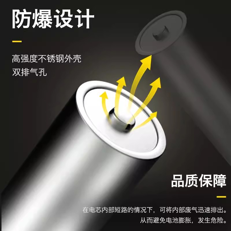 德力普18650电池 尖头9250mWh 2节高清大图