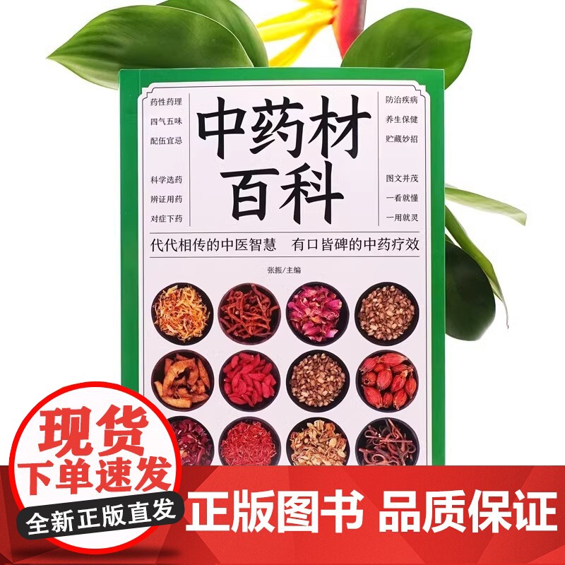 正版 中药材百科书籍大全 中医入门基本知识 医学知识普及读本 中医基础理论 图解中药材大全图谱 彩图处调理中医养生书籍自高清大图