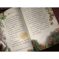 2019部编新版小学3三年级下册语文书人教版课本人民教育出版社三年级语文课本教材部编版新版三下册语文三年级语文课本下