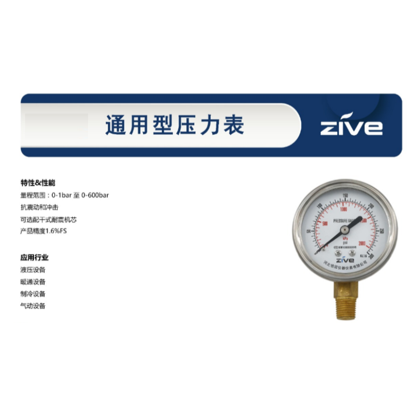 ZIVE 压力表ZIVE-1306465高清大图