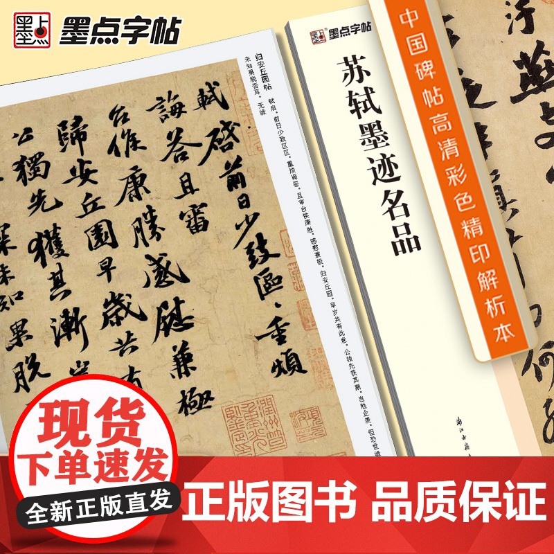 墨点字帖 中国碑帖高清彩色精印解析本 苏轼墨迹名品 成人毛笔书法练习字帖视频讲解藏家珍藏高清大图