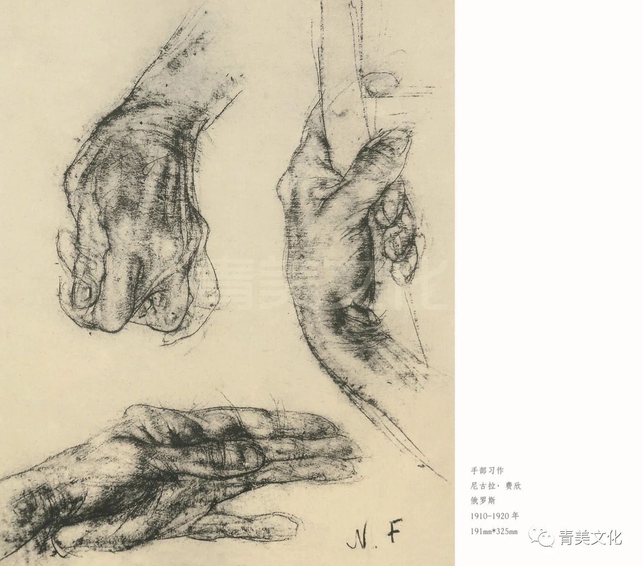 [醉染正版]手的绘画2019青美文化画手部解剖从基础教学到大师手稿及作品手素描课路米斯 美术技法 素描入门自学零基础 基高清大图
