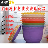 三维工匠波浪花边莲花盆塑料树脂仿陶型大花盆多肉绿萝花盆可水培送托盘 紫色[开孔留言] 小号[口径15cm]15个花盆容器