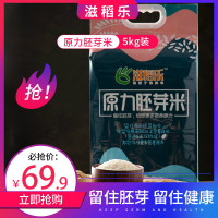 黑龙江大米 当季新米 滋稻乐原力胚芽米5kg真空保鲜装 500g