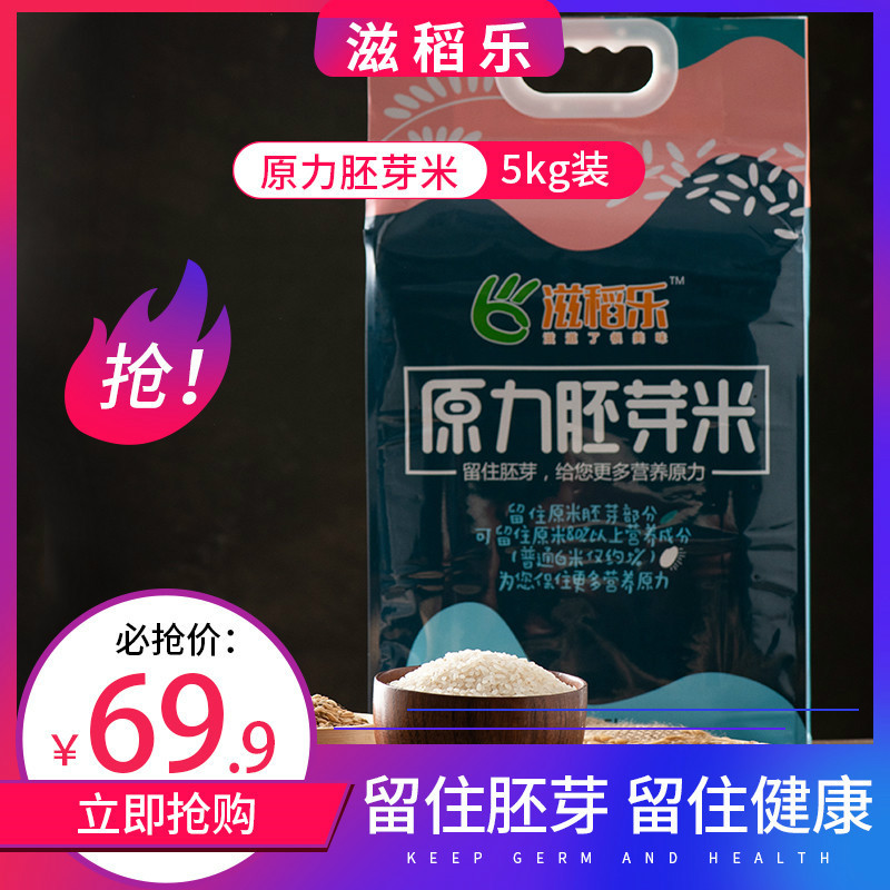 黑龙江大米 当季新米 滋稻乐原力胚芽米5kg真空保鲜装 500g