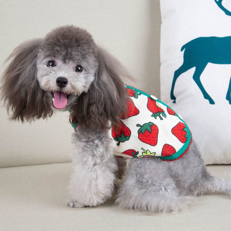 图书其它男士报价_参数_图片_视频_怎么样_问答-苏宁易购