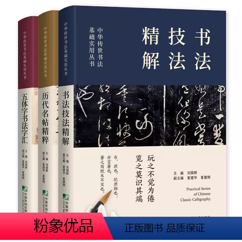 书法入门[3册] [正版]3册套装 中国传世书法技法精解+书法字典+历代名帖鉴赏 楷书行书隶篆草书培训教程 曹全碑九成宫