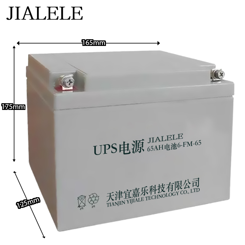 JIALELE UPS电源蓄电池 BT-12M17AC 块高清大图
