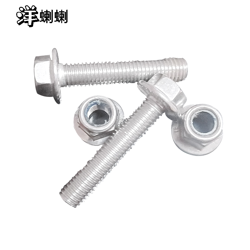 洋蝲蝲 穿钉带帽 M16×250mm 单位:套高清大图