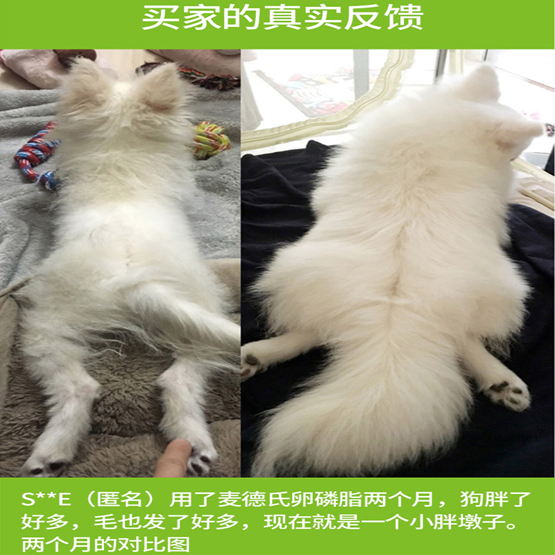 浓缩卵磷脂狗胶原蛋白宠物营养鱼油狗狗防毛亮毛保健品高清大图