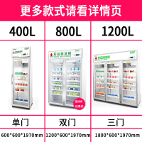 乐创(lecon) 药品阴凉柜 冷柜冰柜药用冷藏展示柜冰箱GSP认证 双门