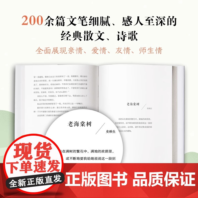 我想做一个能在你的葬礼上描述你一生的人1234 全四册 暖心情感启蒙散文集 学会接受告别 学会表达爱 文学大家作品集高清大图