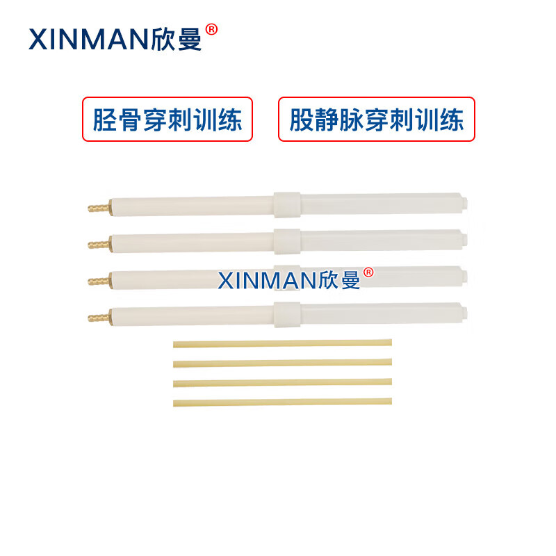 欣曼科教 胫骨穿刺训练模块 骨髓穿刺及股静脉模型 骨内灌注及股静脉穿刺腿部模型XM-GC1高清大图