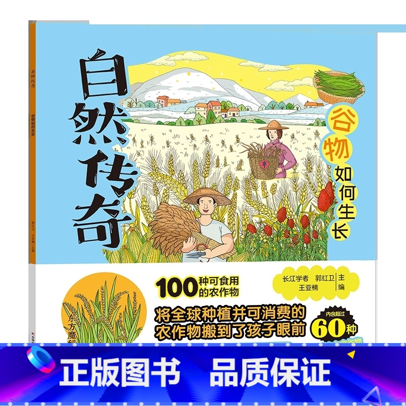 谷物如何生长 [正版]自然传奇系列图书 任选谷物如何生长 鸟儿怎样建巢 生物相依为命 植物能活几岁 儿童科普绘本自然界万高清大图