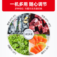 星星(XINGX) 273升 家用冰柜 冷柜 冷藏冷冻转换冰柜 顶开门 节能省电(白色) BD/BC-273FE