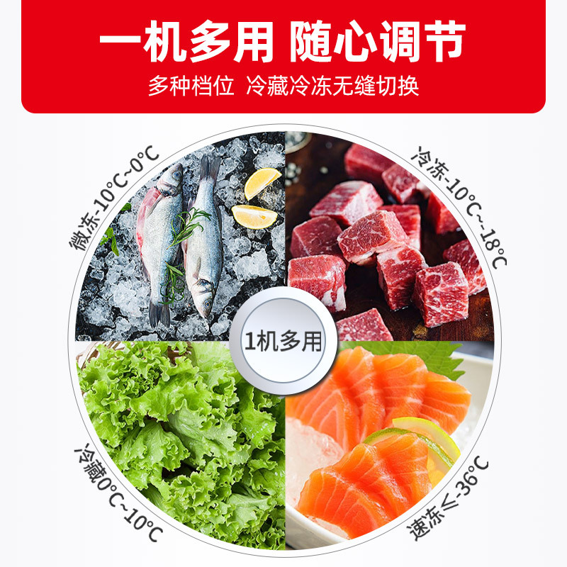 星星(XINGX) 273升 家用冰柜 冷柜 冷藏冷冻转换冰柜 顶开门 节能省电(白色) BD/BC-273FE