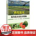 西瓜甜瓜集约化育苗技术精编 江姣 于琪 靳凯业 编 9787511668172中国农业科学技术出版技