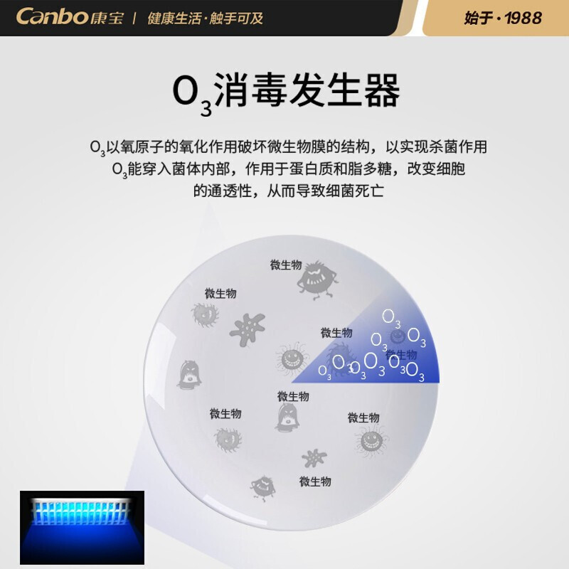 康宝(Canbo)XDZ210-VA1 消毒柜 家用商用大容量碗筷消毒碗柜 双开门立式 二星级 210L高清大图