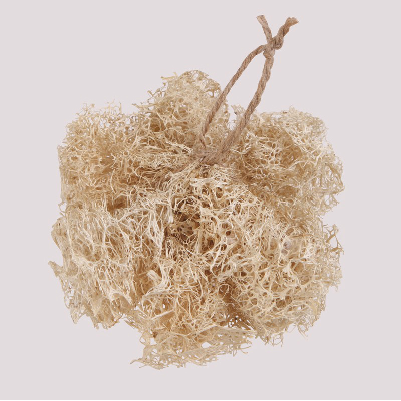 单个装 丝瓜络洗碗布厨房丝瓜刷天然洗碗干丝瓜瓢水丝瓜藤刷锅刷碗