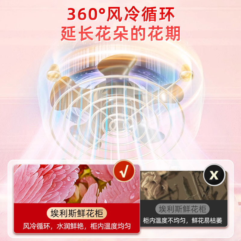 埃利斯(AILISI)商用鲜花保鲜柜单门鲜花全玻璃屏冰柜冷柜冷藏柜 风冷单门鲜花柜豪华款XHC-620FCHT