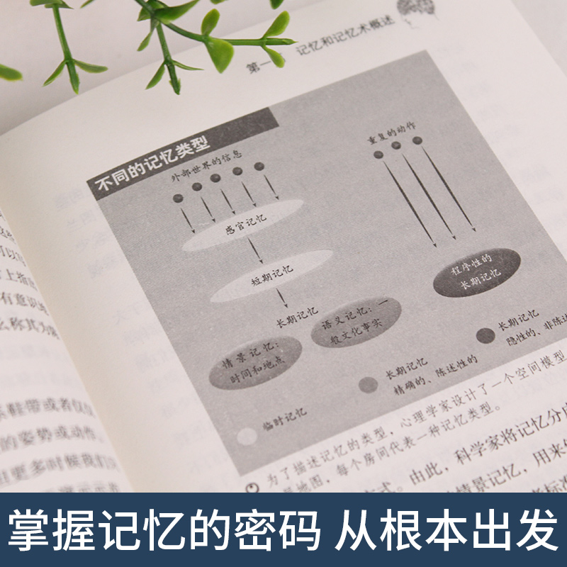 [正版]全套5册 超级记忆术大全集强大脑思维导图思维风暴心理学入门基础脑力记忆力训练书左右脑潜能智力开发书籍书超强高清大图