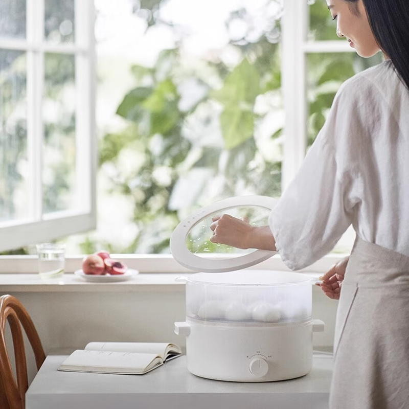 olayks.立时5L电火锅(带笼)OLK-01-12 ZCDHG00102高清大图